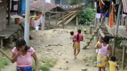 Preocupación en Chocó tras la muerte de niños indígenas por extraño virus