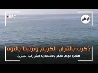 ظاهرة الودق تظهر بالإسكندرية وتثير رعب الكثيرين : ذكرت بالقرآن الكريم وترتبط بالنوة