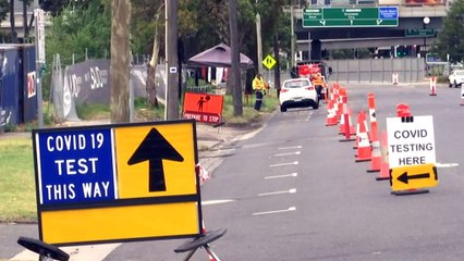 Calls for RATs and N95 masks to curb transmission rates