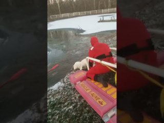 Dog Rescued from Ice Covered Pond