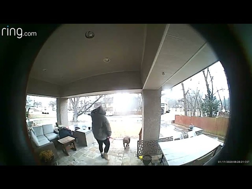 Doorbell Camera Captures Bad Fall on Slippery Steps