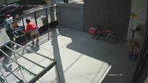 Delivery Person Left Behind After Dog Escapes