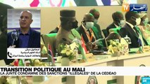 دبلوماسية: توترات بين مالي ودول غرب إفريقيا.. الجزائر تدعو إلى ضبط النفس