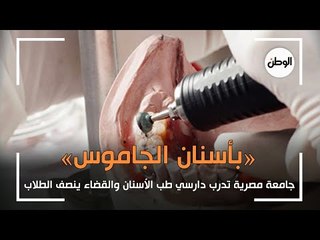 «بأسنان الجاموس».. جامعة مصرية تدرب دارسي طب الأسنان والقضاء ينصف الطلاب