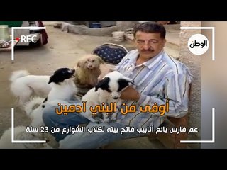 عم فارس بائع أنابيب فاتح بيته لكلاب الشوارع من 23 سنة..  أوفى من البني آدمين