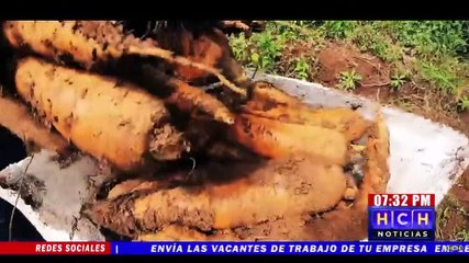 A reunión la FENAGH y Comisión de Transición del nuevo gobierno