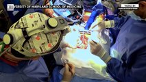 US surgeons successfully implant pig heart in human