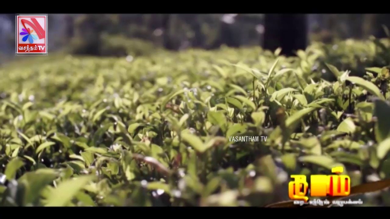 Thadam -  Vasantham TV (08-01-2022) | Part 02