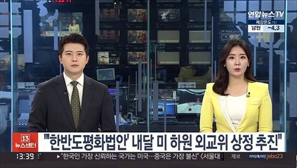 "'한반도평화법안' 내달 미 하원 외교위 상정 추진"