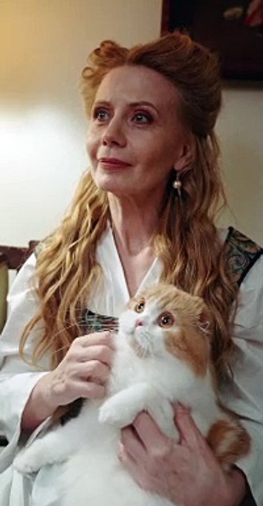 WOMEN PETTING A CUTE CATE - CUTE CATE 4K VIDEO - PETS WORLD #TIKTOK #VIRAL #SHORT