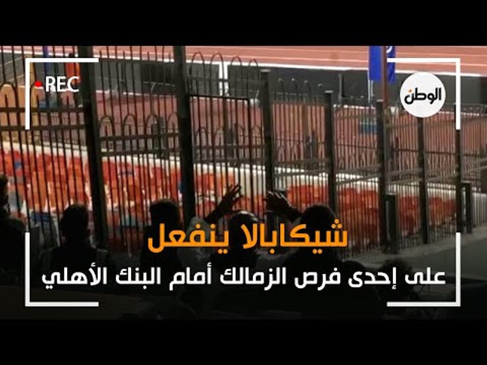 شيكابالا ينفعل على إحدى فرص الزمالك أمام البنك الأهلي