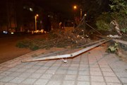 Çorlu'da kuvvetli fırtına: Ağaçlar devrildi, çatılar uçtu, direkler devrildi