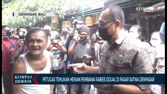 Tertibkan Perdagangan Satwa Liar, Petugas Temukan Hewan Pembawa Rabies