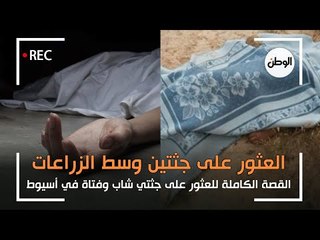 القصة الكاملة لواقعة العثور على جثتي شاب وفتاة وسط الزراعات في اسيوط