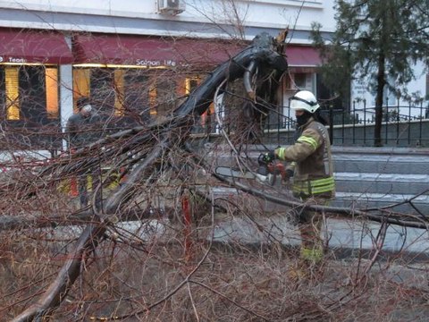 KADIKÖY'DE AĞAÇ VE AYDINLATMA DİREĞİ YOLA DEVRİLDİ