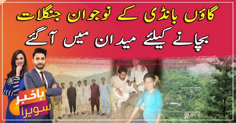 The youngsters of Bandi village step forward to save the forests