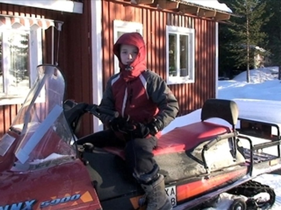 Les Norrland Husky en Laponie