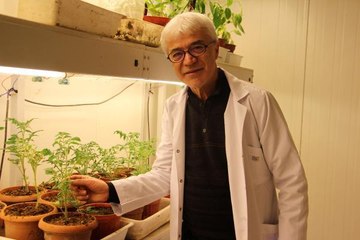 ORGANİK DOMATES İÇİN 8 ÜLKEDEN ORTAK PROJE