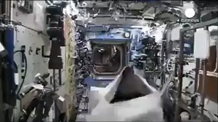 غوريلا تصل لمحطة الفضاء وتتجول بداخلها: فيديو يرصد أغرب ماحدث