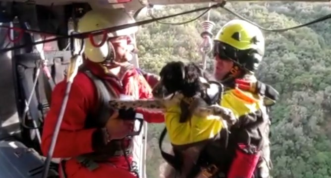 Placanica (RC) - Salvato cane finito in un dirupo (12.01.22)