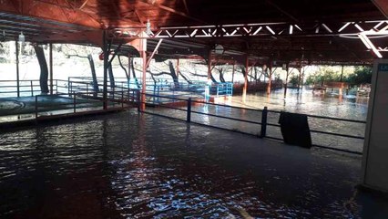 Antalya'da şiddetli yağış ırmak kenarındaki restoranları sular altında bıraktı