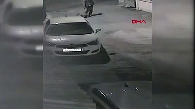 Biri kahraman, biri işkenceci: İtfaiye eri kedinin hayatını kurtardı, diğeri köpeğe işkence etti