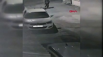 Biri kahraman, biri işkenceci: İtfaiye eri kedinin hayatını kurtardı, diğeri köpeğe işkence etti