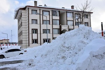 BİTLİS'TE KARDAN KAPANAN 197 KÖY YOLU AÇILDI