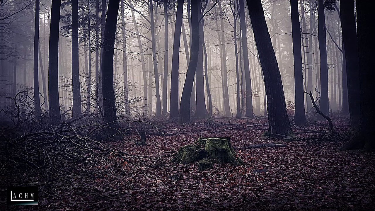 Dark Ambiences,  Sounds For Background In Twitch, Trovo, Others, Royalty Free