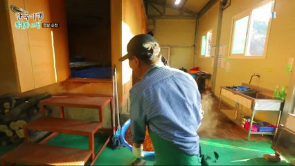 한국기행 - Korea travel_황홀한 고립 3부- 나 홀로 솔캠_#002