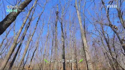 한국기행 - Korea travel_황홀한 고립 3부- 나 홀로 솔캠_#001