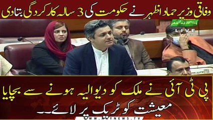 PTI saved Pakistan’s economy from bankruptcy: Hammad Azhar