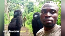 L'histoire derrière le célèbre selfie avec des gorilles