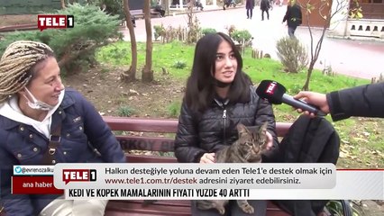 Kedi ve köpek mamalarına yapılan zamlara, hayvanseverler isyan etti!