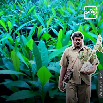 Using His Own Money, This Bus Conductor Has Planted 3 Lakh Trees in 30 years!