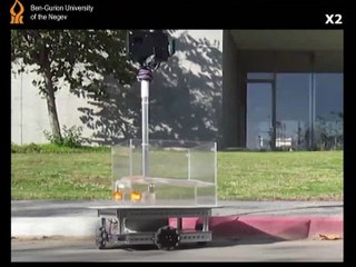 شاهد: سمكة ذهبية تقود مركبة في إسرائيل