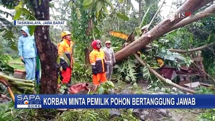 Tangis Pemilik Rumah Pecah Saat Melihat Tempat Tinggalnya Hancur Tertimpa Pohon Tumbang