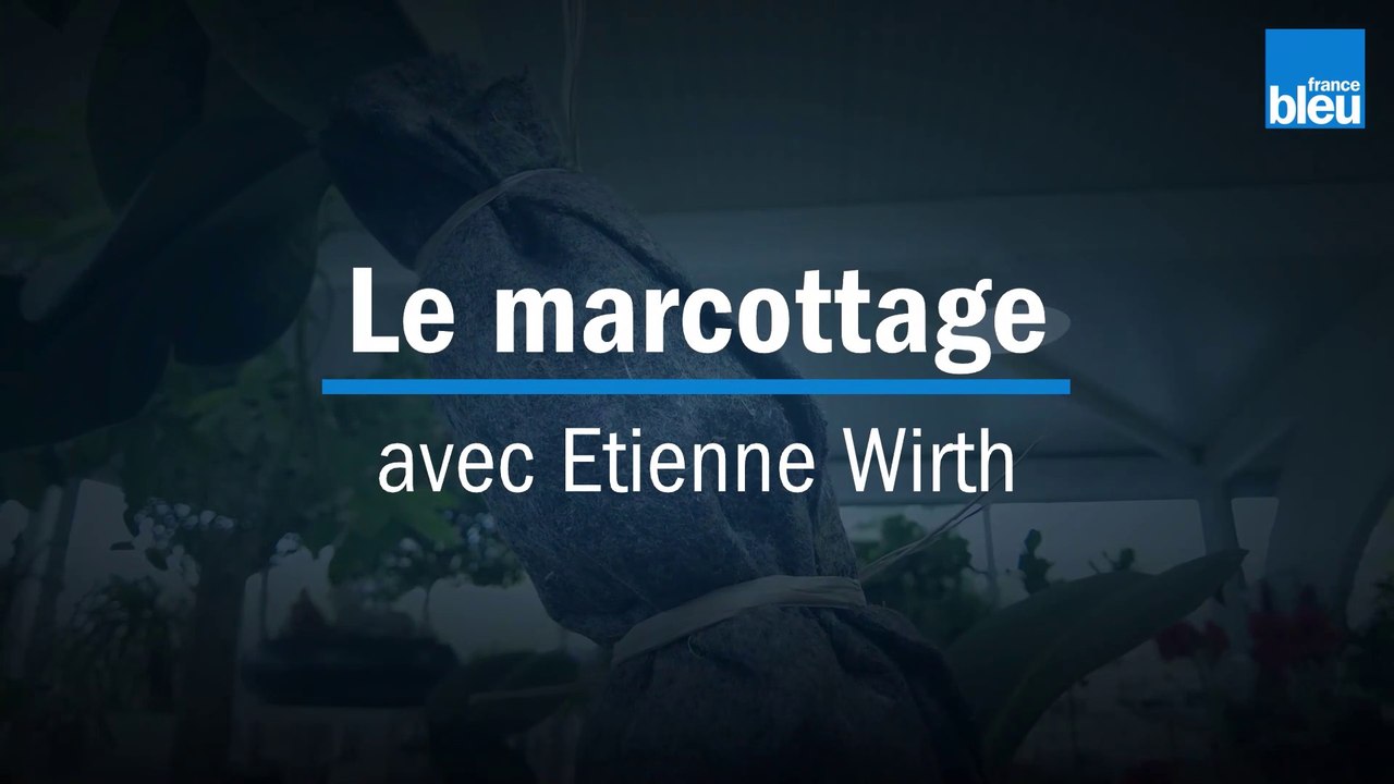 Le marcottage - avec Etienne Wirth