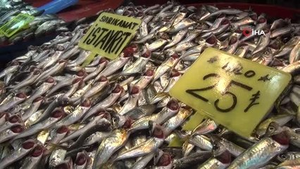 Balıkçılardan fırtına uyarısı: "Yarın fiyatlar yüksek olabilir"