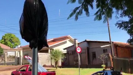 Transitar inicia a implantação dos binários nos bairros Santa Cruz e Região do Lago