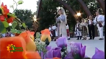 Gheorghita Nicolae - Cine e de vita noastra  (Petrecere romaneasca - Tvh - 12.07.2015)
