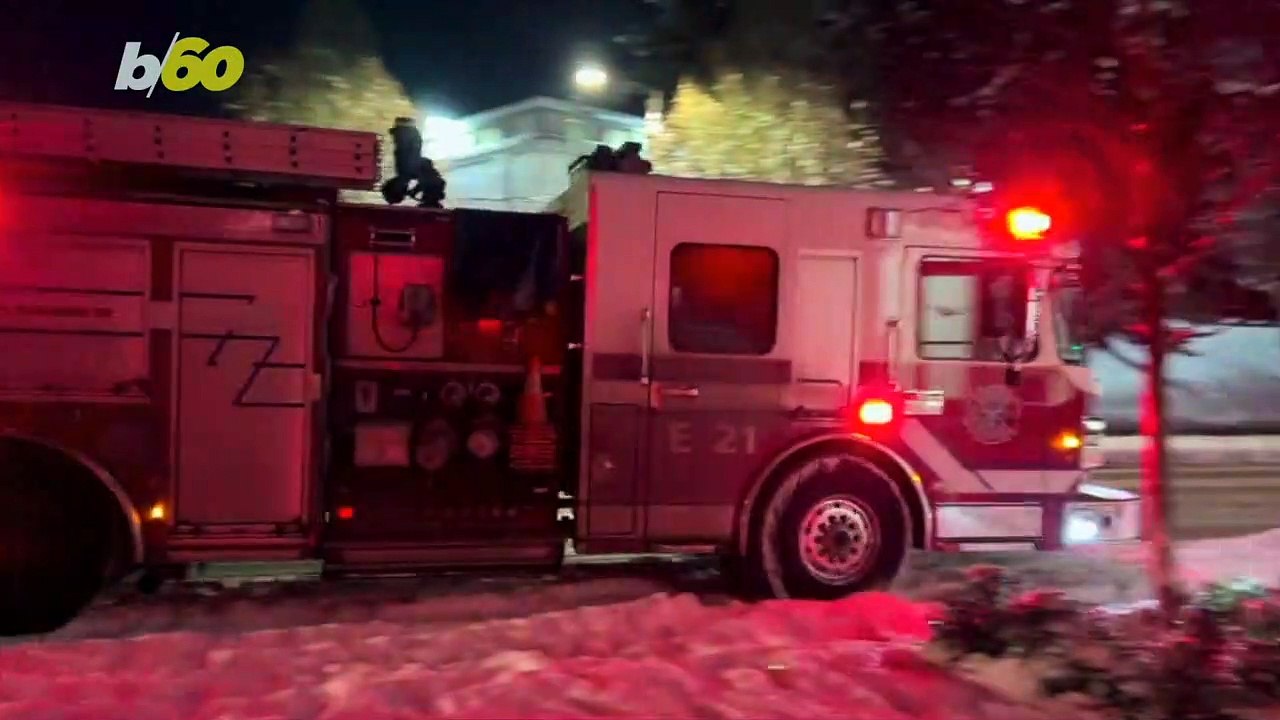 Pet-Safe and Versatile Snow and Ice Removal Tools