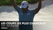 Best of des coups les plus chanceux - PGA Tour 2021