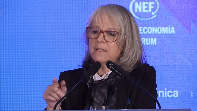 Cañas se refiere a EFEVerifica como una de las líneas más exitosas de EFE (C)