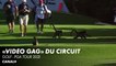 Best of des moments les plus drôles du circuit - PGA Tour 2021