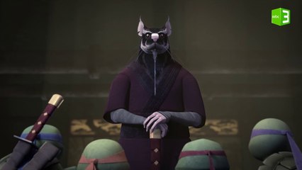 حكمة المعلم لسلاحف النينجا