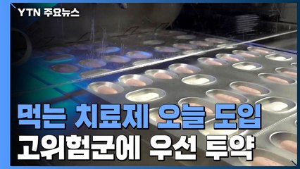 화이자 알약 2만1천 명분 도입...65세 이상 재택치료자 우선 투약 / YTN