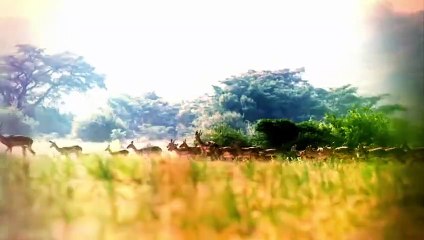 Survival Of The Fittest S01E13