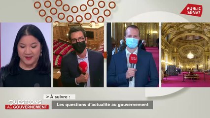 Passe vaccinal : le Sénat poursuit l'examen du projet de loi - Questions au Gouvernement (12/01/2022)