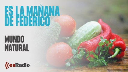 Mundo Natural: Las bacterias buenas para el organismo